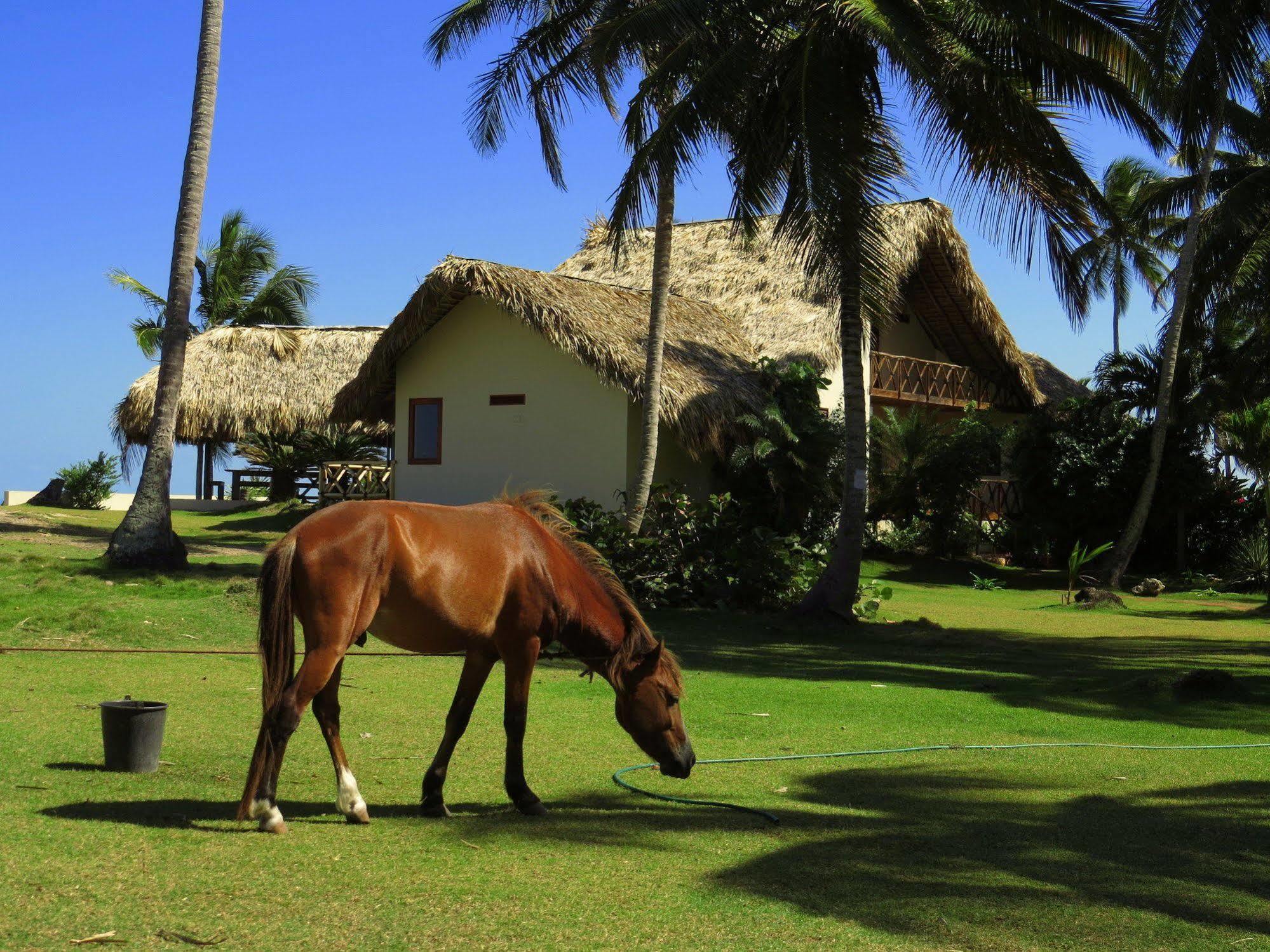 Villa Punta Coral El Francés Kültér fotó